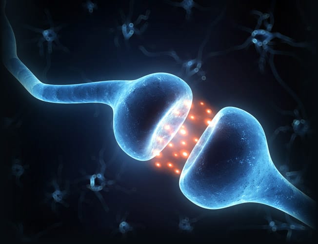 gaba-and-serotonin@1x-f5252400b1